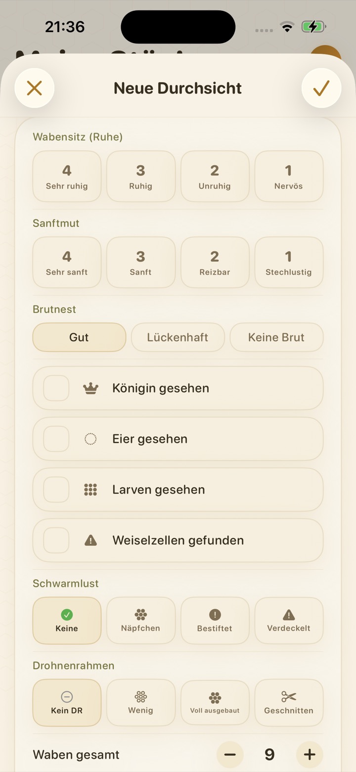 Neue Durchsicht in BeeReady