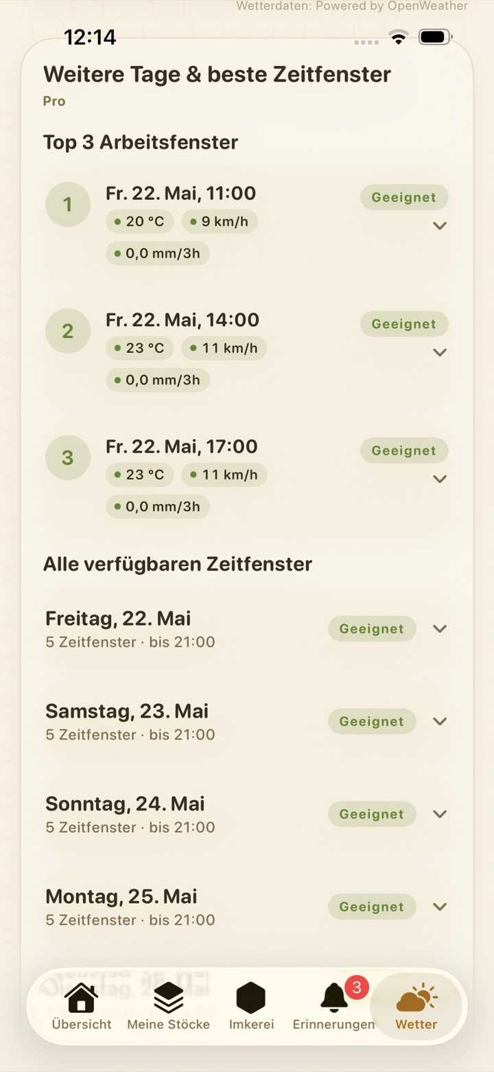 Beste Zeitfenster im BeeReady Flugwetter